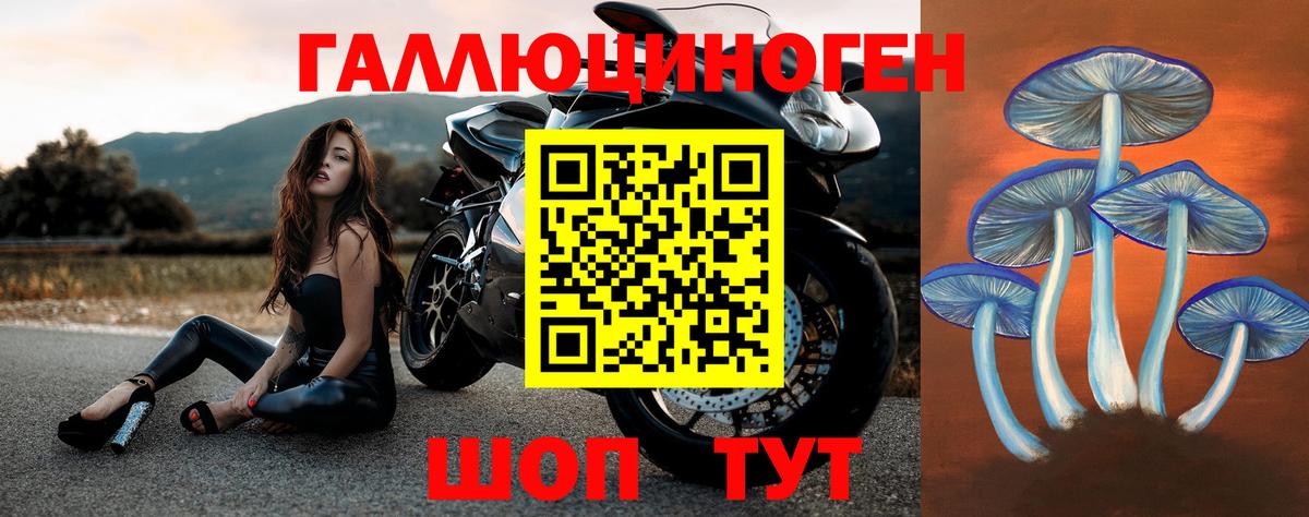 Галлюциногенные грибы прущие грибы Тихвин