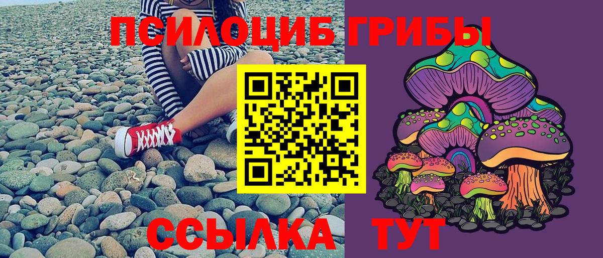 Псилоцибиновые грибы прущие грибы  Вход с VPN  Псилоцибиновые грибы Cubensis  Тихвин 