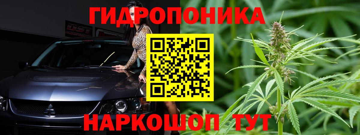 Марихуана марихуана Тихвин